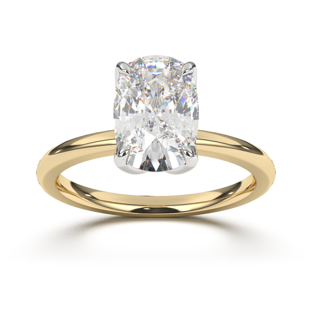 Página de inicio – Nova Rings